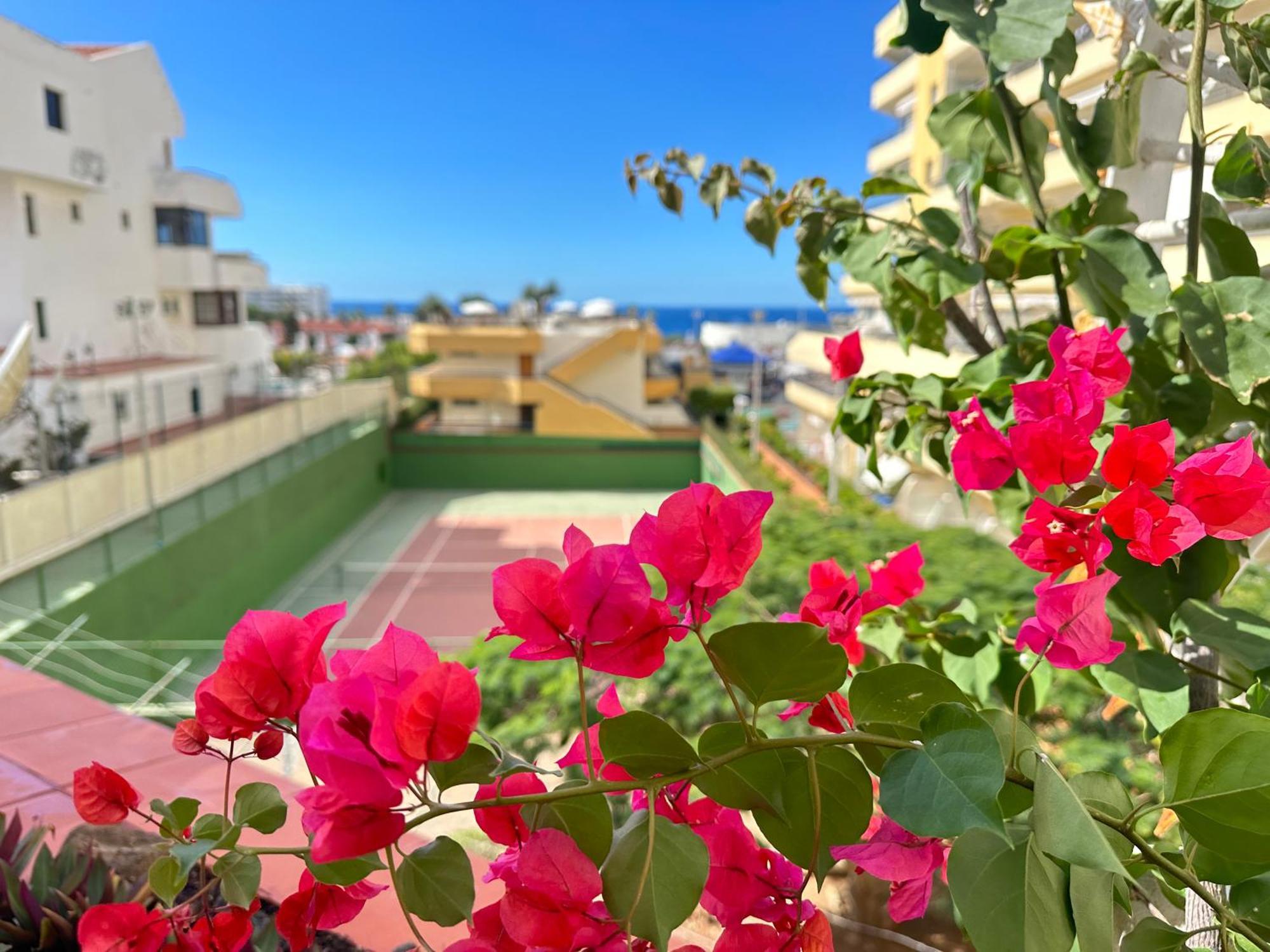 Apartment In Ocean Park, Costa Adeje, Tenerife Екстериор снимка