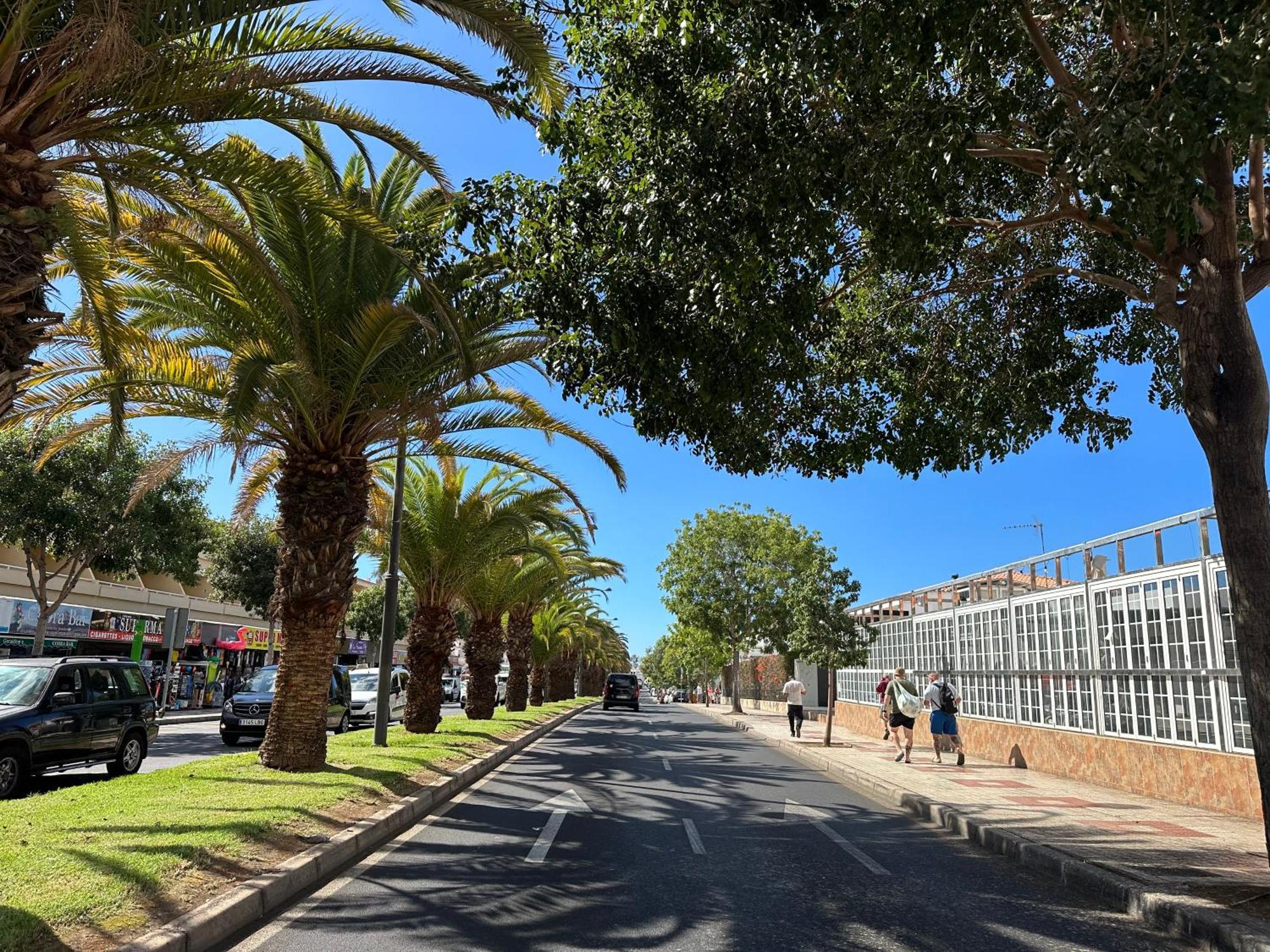 Apartment In Ocean Park, Costa Adeje, Tenerife Екстериор снимка